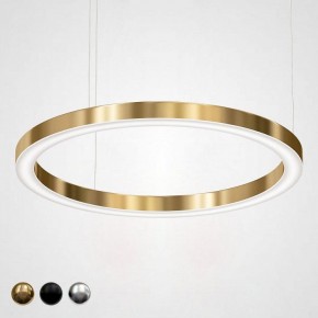 Подвесной светильник Imperiumloft Light Ring Horizontal 40.1454-100 в Югорске - yugorsk.mebel24.online | фото