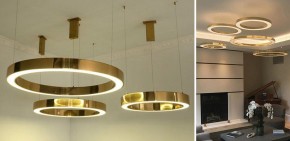 Подвесной светильник Imperiumloft Light Ring Horizontal 40.1454-100 в Югорске - yugorsk.mebel24.online | фото 2