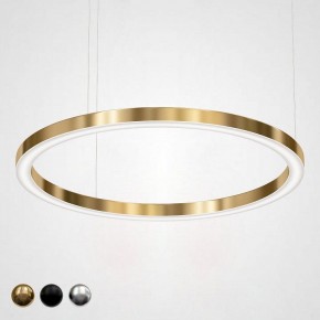 Подвесной светильник Imperiumloft Light Ring Horizontal 40.1454-120 в Югорске - yugorsk.mebel24.online | фото