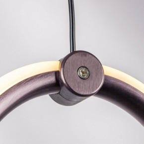 Подвесной светильник Lightstar Caramello 796229 в Югорске - yugorsk.mebel24.online | фото 10