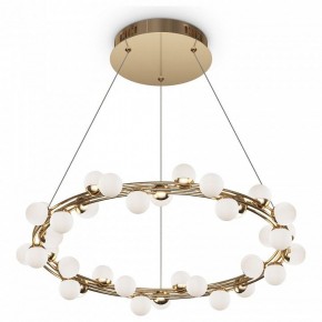 Подвесной светильник Maytoni Tessara MOD081PL-L50G3K в Югорске - yugorsk.mebel24.online | фото 2