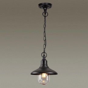 Подвесной светильник Odeon Light Campa 4965/1 в Югорске - yugorsk.mebel24.online | фото 2