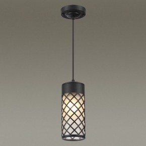 Подвесной светильник Odeon Light Dunes 4834/1 в Югорске - yugorsk.mebel24.online | фото 3