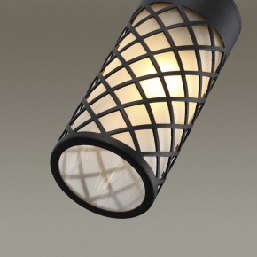 Подвесной светильник Odeon Light Dunes 4834/1 в Югорске - yugorsk.mebel24.online | фото 6
