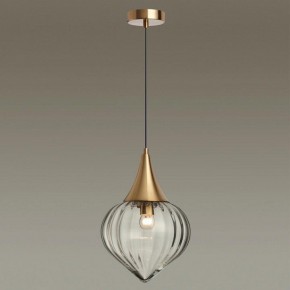 Подвесной светильник Odeon Light Kesta 4950/1 в Югорске - yugorsk.mebel24.online | фото 2