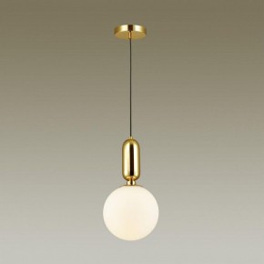 Подвесной светильник Odeon Light Okia 4669/1 в Югорске - yugorsk.mebel24.online | фото 4
