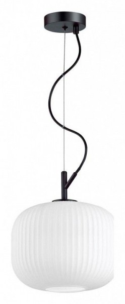 Подвесной светильник Odeon Light Roofi 4753/1 в Югорске - yugorsk.mebel24.online | фото 3