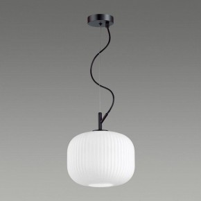 Подвесной светильник Odeon Light Roofi 4753/1 в Югорске - yugorsk.mebel24.online | фото 4