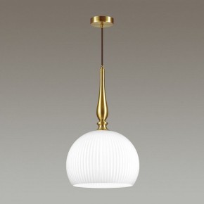 Подвесной светильник Odeon Light Runga 4765/1 в Югорске - yugorsk.mebel24.online | фото 4