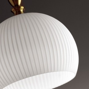 Подвесной светильник Odeon Light Runga 4766/1 в Югорске - yugorsk.mebel24.online | фото 8