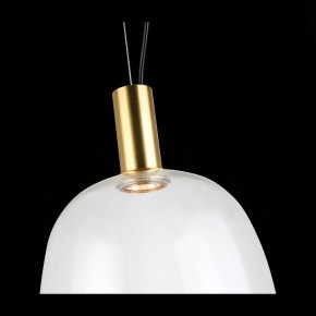 Подвесной светильник ST-Luce Allenore SL1582.313.01 в Югорске - yugorsk.mebel24.online | фото 9