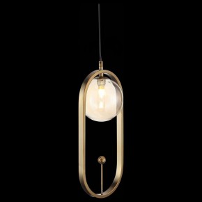 Подвесной светильник ST-Luce Circono SL1201.203.01 в Югорске - yugorsk.mebel24.online | фото 4