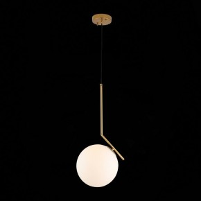 Подвесной светильник ST-Luce Codda SL1148.303.01 в Югорске - yugorsk.mebel24.online | фото 5