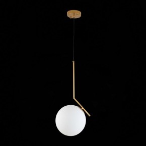 Подвесной светильник ST-Luce Codda SL1148.303.01 в Югорске - yugorsk.mebel24.online | фото 6