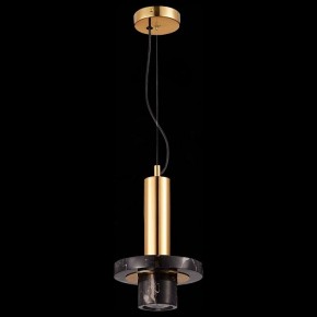 Подвесной светильник ST-Luce Pietra SL1210.403.01 в Югорске - yugorsk.mebel24.online | фото 5