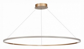 Подвесной светильник ST-Luce ST604 OUT ST604.243.57 в Югорске - yugorsk.mebel24.online | фото 2