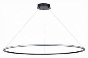 Подвесной светильник ST-Luce ST604 OUT ST604.443.46 в Югорске - yugorsk.mebel24.online | фото 2