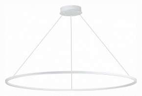 Подвесной светильник ST-Luce ST604 OUT ST604.543.46 в Югорске - yugorsk.mebel24.online | фото 2