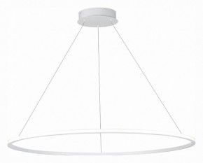 Подвесной светильник ST-Luce ST604 OUT ST604.543.57 в Югорске - yugorsk.mebel24.online | фото 3