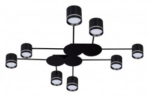 Потолочная люстра Arte Lamp Legacy A8024PL-8BK в Югорске - yugorsk.mebel24.online | фото