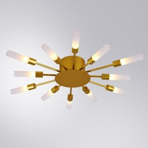 Потолочная люстра Arte Lamp Maple A1276PL-12GO в Югорске - yugorsk.mebel24.online | фото 1