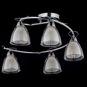 Потолочная люстра Arti Lampadari Paola, Tavenna Nickel Paola E 1.1.5 N в Югорске - yugorsk.mebel24.online | фото 2