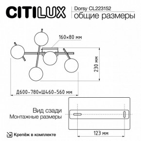 Потолочная люстра Citilux Dorsy CL223152 в Югорске - yugorsk.mebel24.online | фото 10