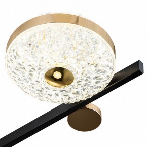 Потолочная люстра Escada Liberta 10219/6LED в Югорске - yugorsk.mebel24.online | фото 6