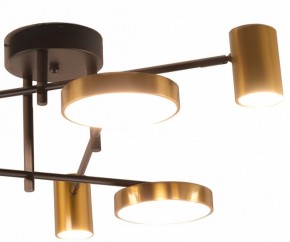 Потолочная люстра Kink Light Рапис 07645-6D,19(20) в Югорске - yugorsk.mebel24.online | фото 2
