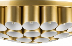 Потолочная люстра Lightstar Siena 720402 в Югорске - yugorsk.mebel24.online | фото 3