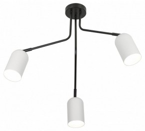 Потолочная люстра Rivoli Rosalinda Б0064987 в Югорске - yugorsk.mebel24.online | фото 4