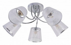 Потолочная люстра Rivoli Shirley Б0059982 в Югорске - yugorsk.mebel24.online | фото