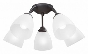 Потолочная люстра Vitaluce V3184 V3737-2/5PL в Югорске - yugorsk.mebel24.online | фото