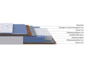 PROxSON Матрас Active Duo M/F (Ткань Трикотаж Эко) 160x195 в Югорске - yugorsk.mebel24.online | фото 2