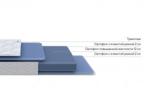 PROxSON Матрас Active Flex M (Ткань Трикотаж Эко) 200x200 в Югорске - yugorsk.mebel24.online | фото 2