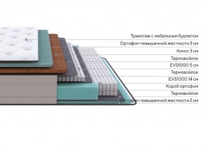 PROxSON Матрас Elysium Firm (Трикотаж Spiral-RT) 120x200 в Югорске - yugorsk.mebel24.online | фото 2