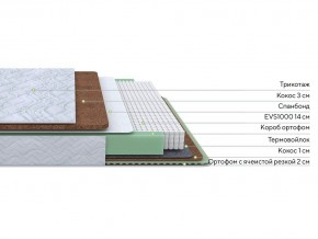 PROxSON Матрас Green Duo M/F (Tricotage Dream) 140x195 в Югорске - yugorsk.mebel24.online | фото 2