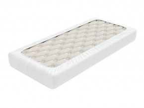 PROxSON Защитный чехол Aqua Save Light M (Ткань влагостойкая Tencel Jersey) 90x190 в Югорске - yugorsk.mebel24.online | фото 2