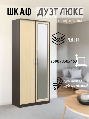 Шкаф 2-х створчатый Дуэт Люкс с зеркалом в Югорске - yugorsk.mebel24.online | фото