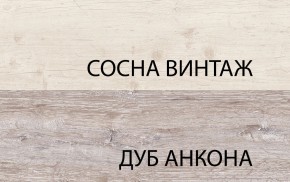 Шкаф 2DG2S, MONAKO, цвет Сосна винтаж/дуб анкона в Югорске - yugorsk.mebel24.online | фото
