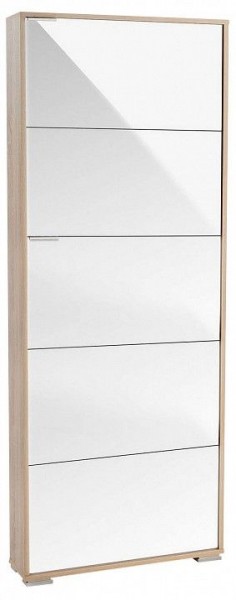Шкаф для обуви Viva-5LW в Югорске - yugorsk.mebel24.online | фото