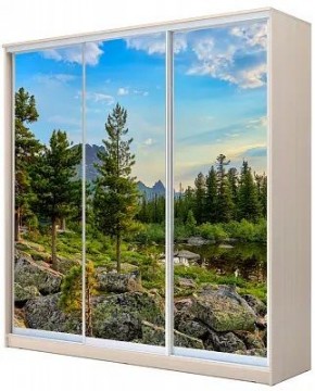Шкаф-купе ХИТ 22-20-777 ПРИРОДА в Югорске - yugorsk.mebel24.online | фото