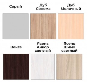 Шкаф-купе ХИТ 22-4-14-11 (420) в Югорске - yugorsk.mebel24.online | фото 5