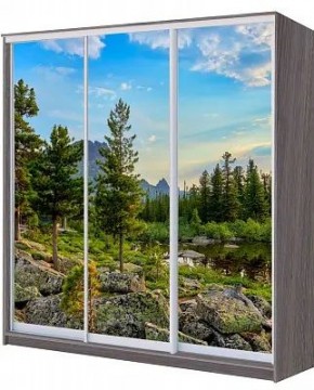 Шкаф-купе ХИТ 22-4-20/2-777 ПРИРОДА в Югорске - yugorsk.mebel24.online | фото