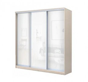 Шкаф-купе ХИТ 22-4-20-888 (420) в Югорске - yugorsk.mebel24.online | фото 4