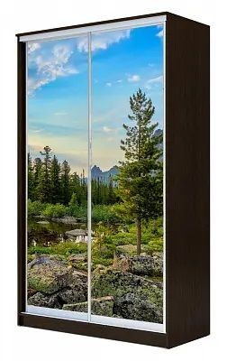 Шкаф-купе ХИТ 23-14-77 ПРИРОДА в Югорске - yugorsk.mebel24.online | фото
