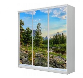 Шкаф-купе ХИТ 23-18-777 (620) в Югорске - yugorsk.mebel24.online | фото