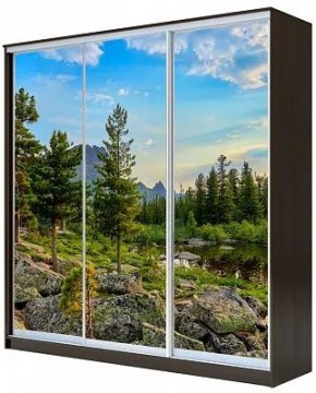 Шкаф-купе ХИТ 23-20/2-777 ПРИРОДА в Югорске - yugorsk.mebel24.online | фото