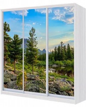Шкаф-купе ХИТ 23-4-20/2-777 ПРИРОДА в Югорске - yugorsk.mebel24.online | фото