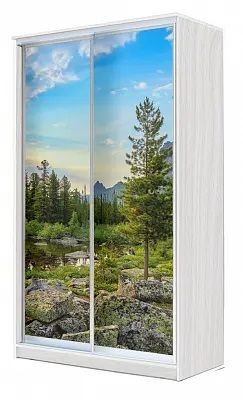 Шкаф-купе ХИТ 24-4-15-77 ПРИРОДА в Югорске - yugorsk.mebel24.online | фото